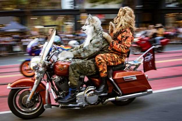 Famous motorcycles from movies and TV